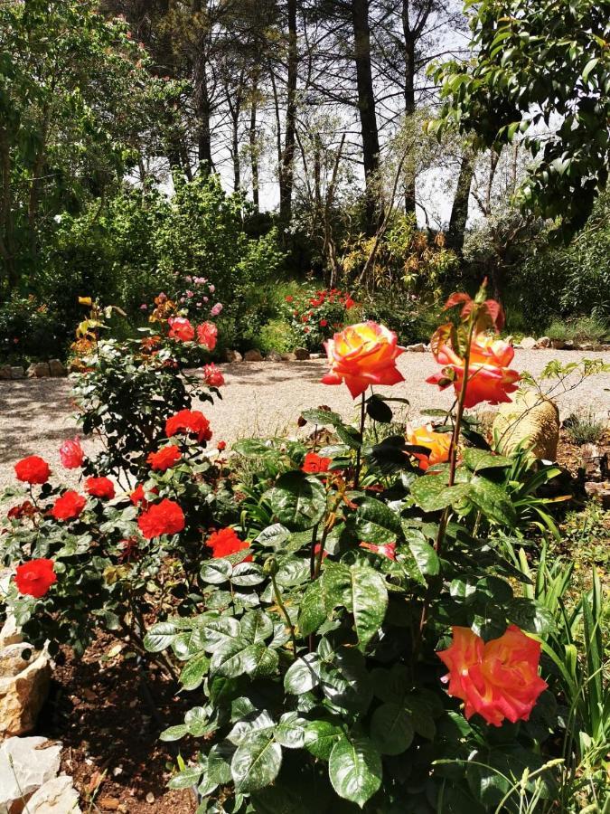 La Maison Du Soleil Provence Драгинян Екстериор снимка