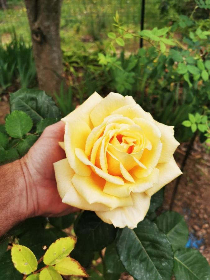 La Maison Du Soleil Provence Драгинян Екстериор снимка
